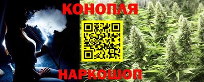 бутират Кингисепп